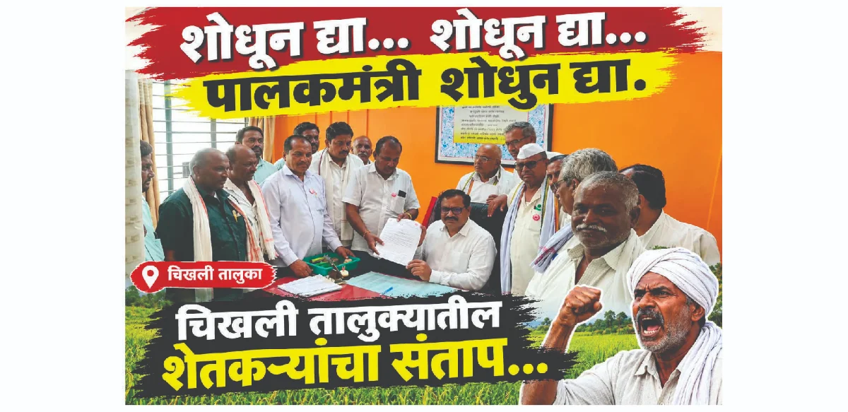 शोधून द्या शोधून द्या पालकमंत्री शोधुन द्या. चिखली तालुक्यातील शेतकऱ्यांचा संताप....